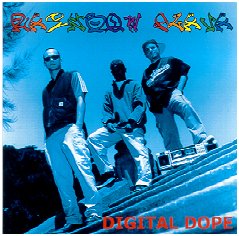 Rainbow Flava