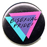 Bisexual Pride button