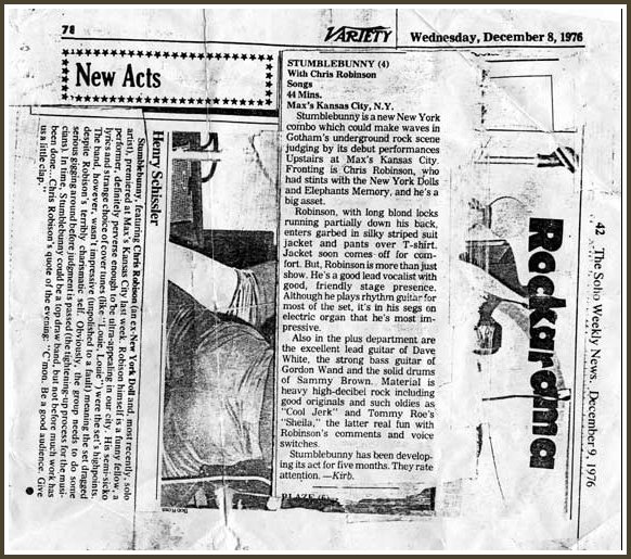 2 Stumblebunny reviews