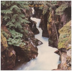 Cat Stevens and "B ack to Earth"